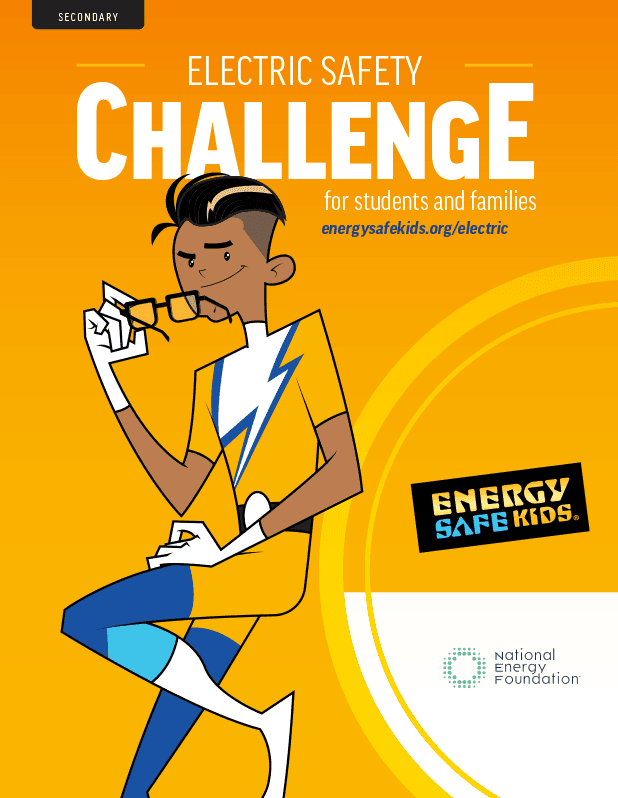 Electric Safety Challenge cover